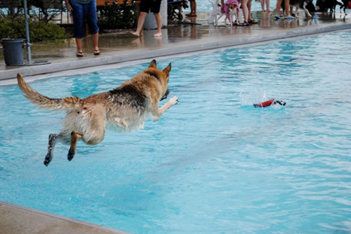 Barktember_Fun_at_The_Waterpark